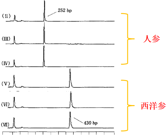 SNP 位点测定新方法——毛细管电泳技术