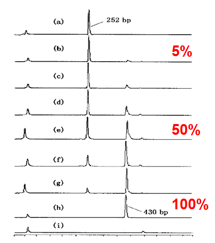 SNP 位点测定新方法——毛细管电泳技术