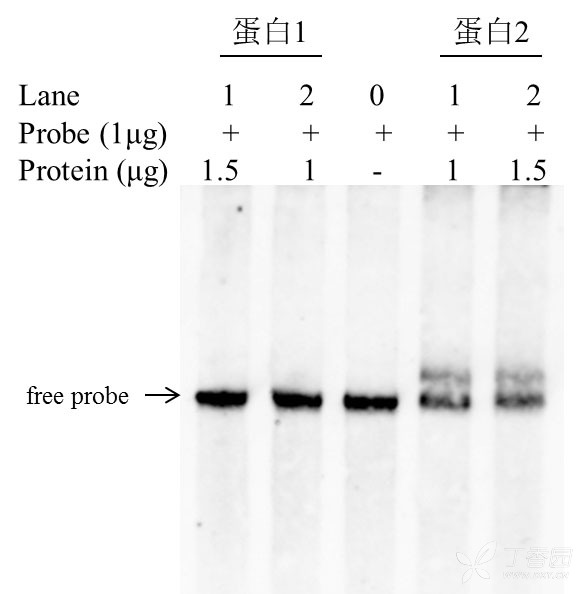 求助: emsa的阻滞带位置不太正常
