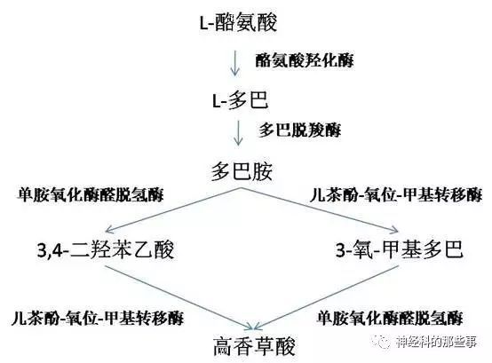 神经内科随笔(46):异病同治和同病异治