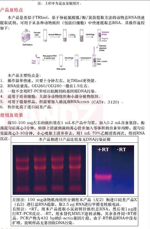 动物 RNAout(TRIzol) 100mL品牌