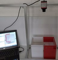 斑马鱼条件位置偏爱系统 