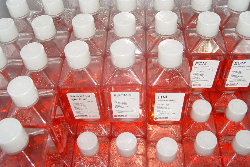 氯化钠蛋白胨缓冲液颗粒规格