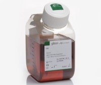 胎牛血清 Fetal Bovine Serum 10270-106    10270106现货供应