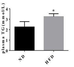 高脂血症大鼠模型