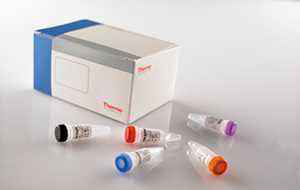 水皰性口炎(VSV)核酸檢測試劑盒(RT-PCR熒光探針法)