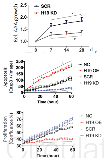 科研集市-19丨一文带你了解lncRNA与蛋白及核酸互作的功能机制研究