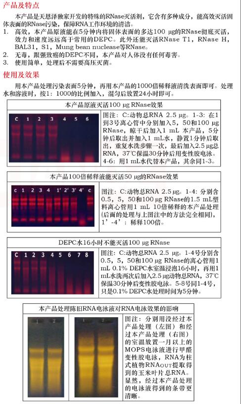 固相 RNase 清除剂100mL规格