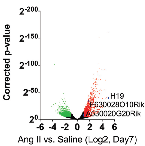 科研集市-19丨一文带你了解lncRNA与蛋白及核酸互作的功能机制研究