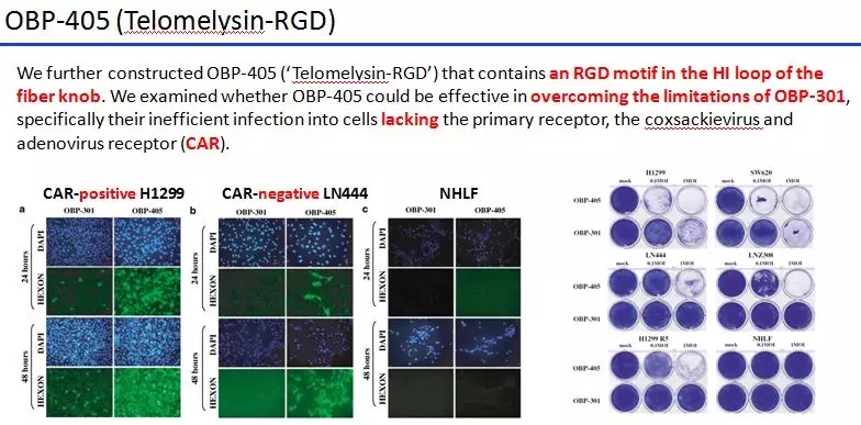 由 1 亿美元开始,聊聊溶瘤腺病毒的「DIY」