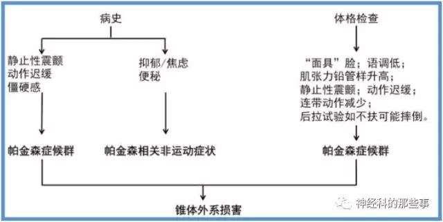 神经科的那些病例:肢体抖动、动作迟缓、僵硬,伴异动的中年女性