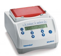 Eppendorf MixMate®高速混匀仪 5353000081