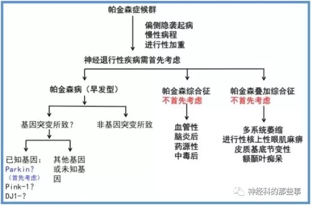 神经科的那些病例:肢体抖动、动作迟缓、僵硬,伴异动的中年女性