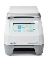 Eppendorf Mastercycler® X50 PCR仪6311000070