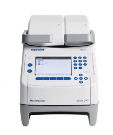 Eppendorf Mastercycler® nexus X2 PCR仪 6336000074