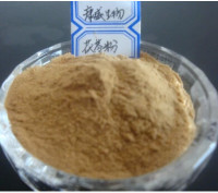 西安康威大量供应茯苓提取物多糖20% 10:1