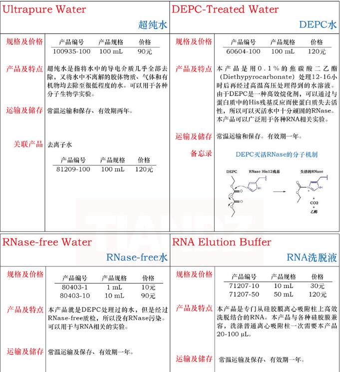 RNase-free 水10mL费用