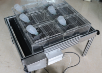 DB036睡眠剥夺系统厂家，大小鼠睡眠剥夺仪