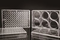 NEST 6孔护城河板