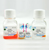 Urineasy尿液细胞分离培养试剂盒