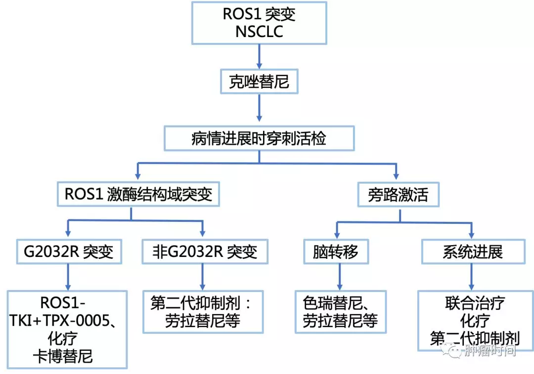 肺癌靶向治疗耐药后处理，看这篇就够了