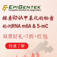 EpiQuik M6A RNA甲基化定量检测试剂盒 (比色法) (48 次)  | EpiQuikM6A RNAMethylation Quantification Kit (Colorimetric) (48 reactions) 