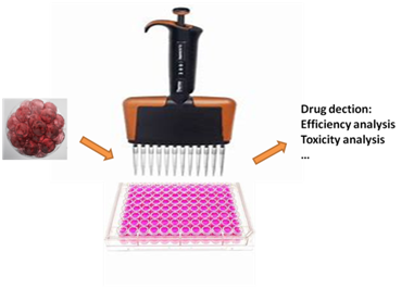 细胞的3D药物筛选