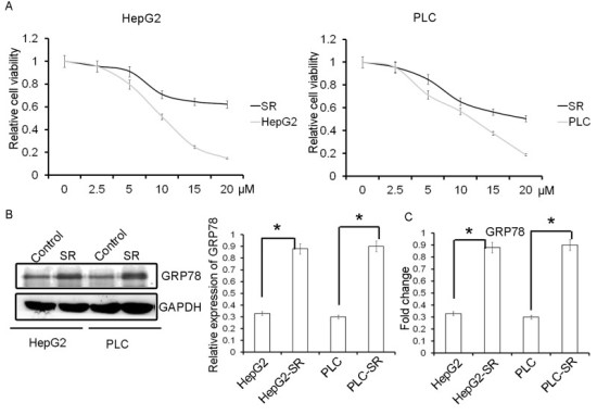 骨髓间充质干细胞＋外泌体＋siRNA＝1 区 SCI