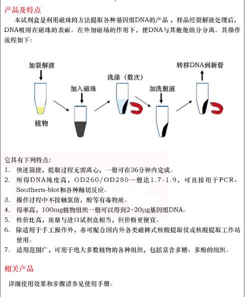 磁珠植物 DNAout50 次规格