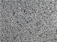 Daudi细胞、Daudi细胞、Daudi细胞