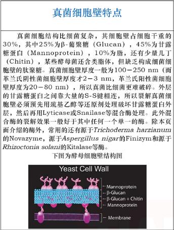 蜗牛酶干粉5g规格