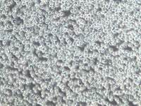 Ramos细胞、Ramos细胞、Ramos细胞