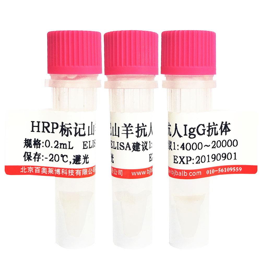 HRP标记芴(Fluorene-HRP)