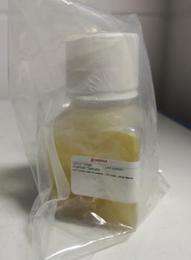 sigma 人ab血清 ，Human Serum from human male AB plasma, USA origin, sterile-filtered