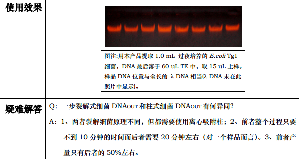 一步式细菌DNAout