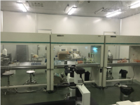 人高半胱氨酸(Hcy)ELISA试剂盒