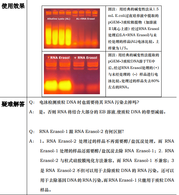 非酶RNA清除剂1.0