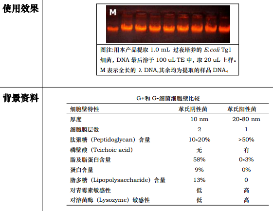百万碱基级细菌(G-)DNAout