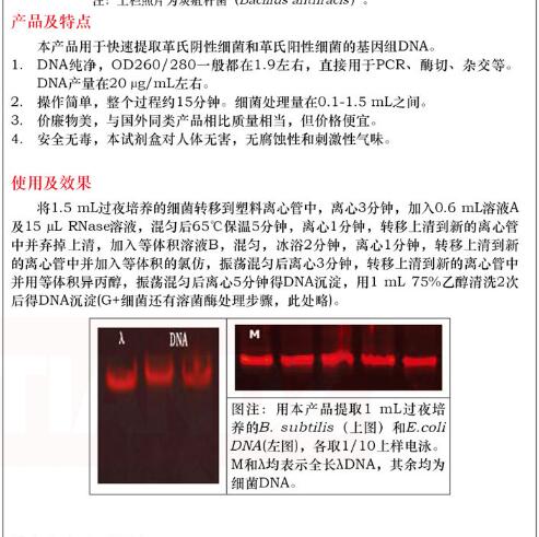 细菌 DNAout50 次规格