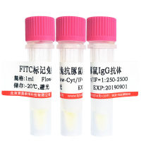 FITC标记人转铁蛋白