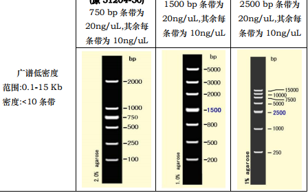 DNA电泳分子量标准(2)（300-5000 bp）