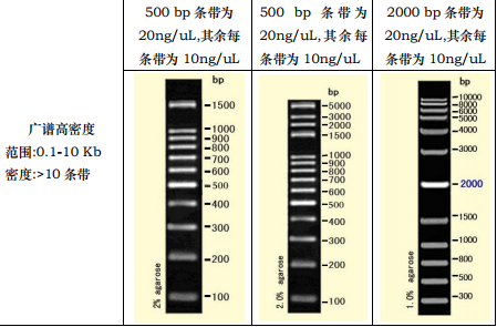 DNA电泳分子量标准(2)（300-5000 bp）