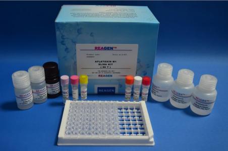 人赖氨酰氧化酶(LOX)酶联免疫吸附测定试剂盒 图片