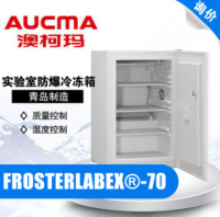 青岛澳柯玛FROSTERLABEX®-70实验室防爆冷冻箱 -15℃~-22℃