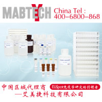 anti-bovine IL-4 mAb bIL4-I, purified