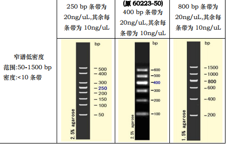 DNA电泳分子量标准(2)（300-5000 bp）