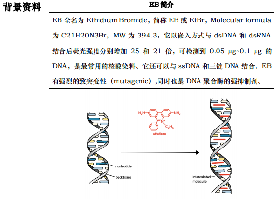 溴化乙锭清除剂