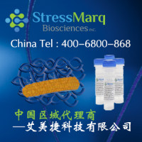 HSP16.6（蓝藻菌） 抗体|HSP16.6 (Cyanobacteria) Antibody