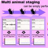 SleepSign 小鼠睡眠分析软件，小鼠睡眠分析软件