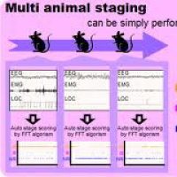 SleepSign 小鼠睡眠分析软件，小鼠睡眠分析软件